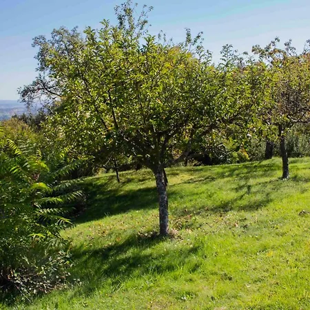 Kellerstockl An Der Schilcher Weinstrasse Casa de Férias Gundersdorf